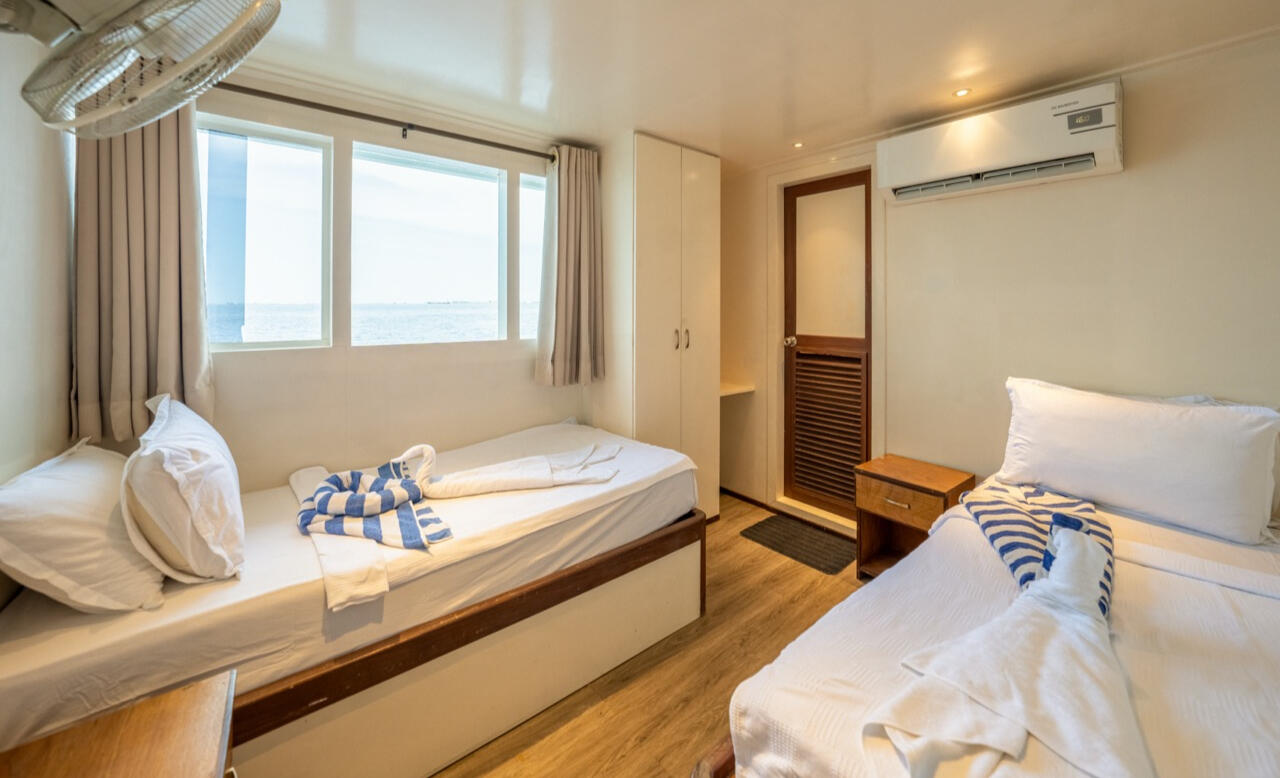 Sea Farer - Twin bed cabin